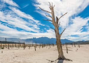 Severe Drought Climate Change Featured
