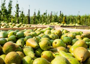 201806 Fresh Quarterly Issue 01 07 Farmings Most Difficult Season