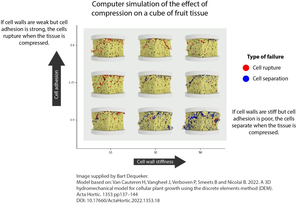 202509 Fresh Quarterly Issue 30 02 Dequeker 01