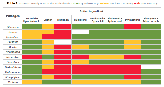 202509 Fresh Quarterly Issue 30 05 Wenneker 01