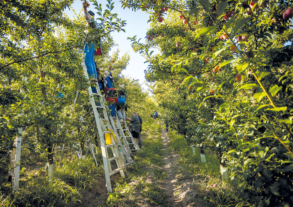 202512 Fresh Quarterly Issue 31 05 Beyond Compliance