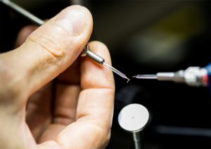 202603 Fresh Quarterly Issue 32 08 Insect Whisperers